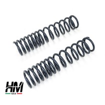 PAIRE DE RESSORTS ARRIÈRE +5 CM SUZUKI JIMNY À PARTIR DE 2018