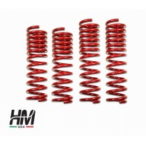 Paire de ressorts avant Suzuki Jimny À PAS VARIABLE +5CM