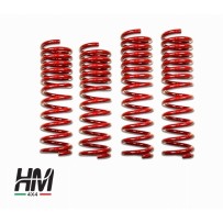 Paire de ressorts avant Suzuki Jimny À PAS VARIABLE +5CM