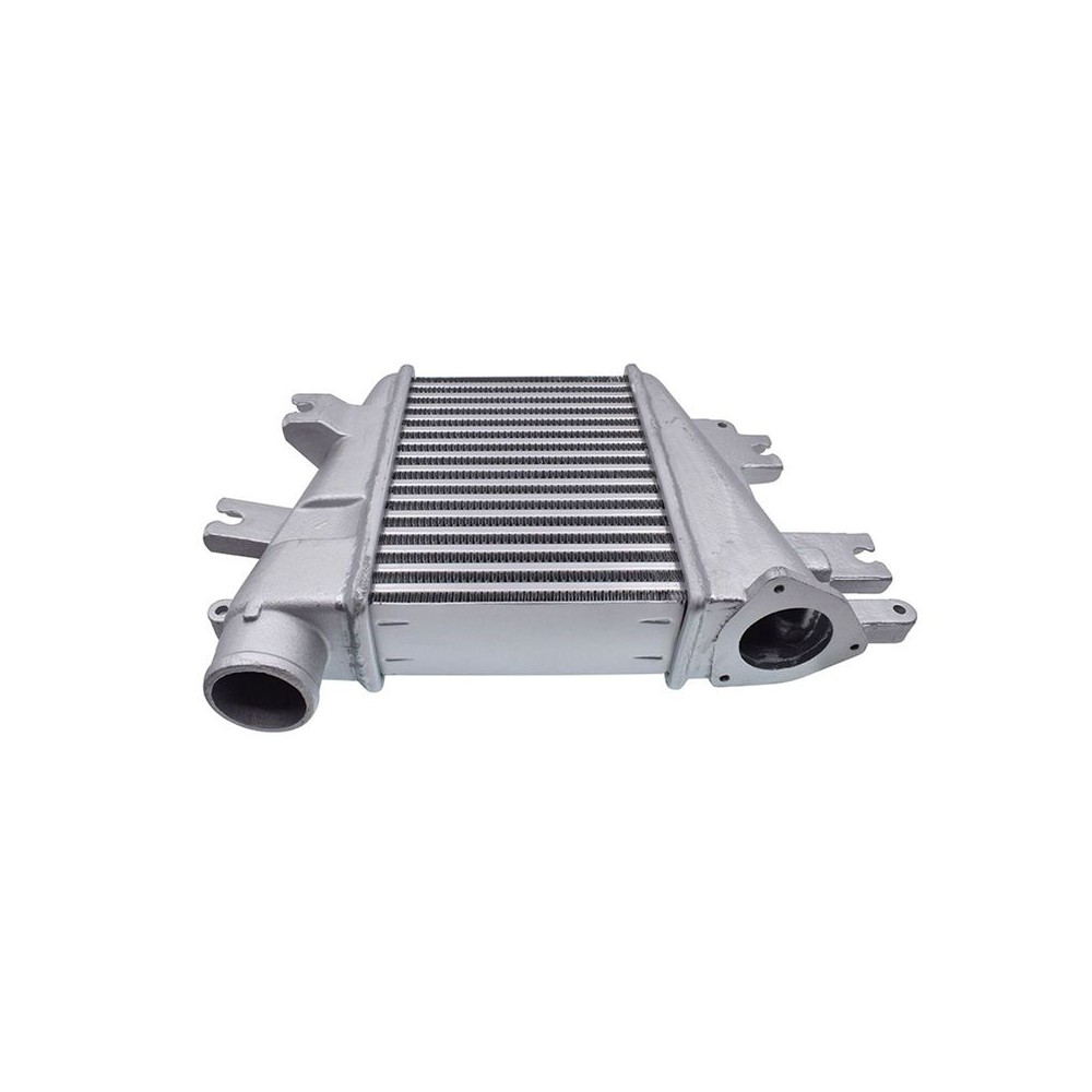 INTERCOOLER POUR NISSAN PATROL GR Y61 3L De 03/2000 à 10/2010 INTERCOOLER POUR NISSAN PATROL GR Y61 3L De 03/2000 à 10/2010