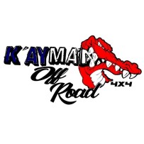 Goujon de roue chromé 14x150 - Hex 17mm - Cône 60° - L33mm