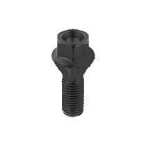 Vis 12 x 1.50 Noire HEX17 pour Dacia Duster : Solidité et Style