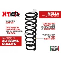 RESSORT + 4CM POUR NISSAN TERRANO 5 PORTE