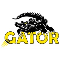 GATOR LINER 2K NOIR – Kit 1 bouteille (1L)
