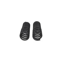 Ressorts avant progressifs OME +50 mm – Toyota Land Cruiser KDJ120 / FJ Cruiser