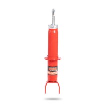 Amortisseur avant Pedders TrakRyder Dodge RAM 1500 2009-2019 – Ro