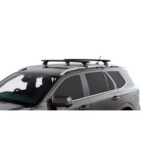  RX200-4 Cross Bar Kit Rhino Rack : Barres de Toit Offroad Fiables 
