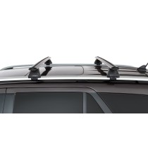  RX200-4 Cross Bar Kit Rhino Rack : Barres de Toit Offroad Fiables 