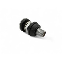 Valve de remplacement STAUN à visser - Accessoire pneu fiable