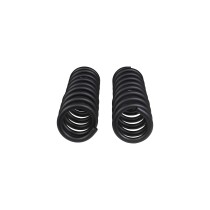 Ressorts avant OME +50mm Land Cruiser 150, robustesse et confort