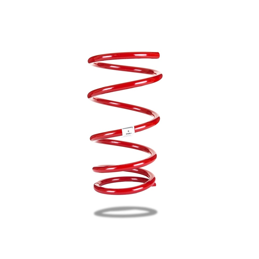 Ressort arrière PEDDERS Nissan X-Trail T30 – Suspension 4x4 robuste