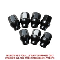 Kit visserie 12x1.50 noir – pour une jante