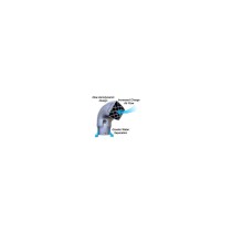 Tête de Snorkel 3,5 pouces