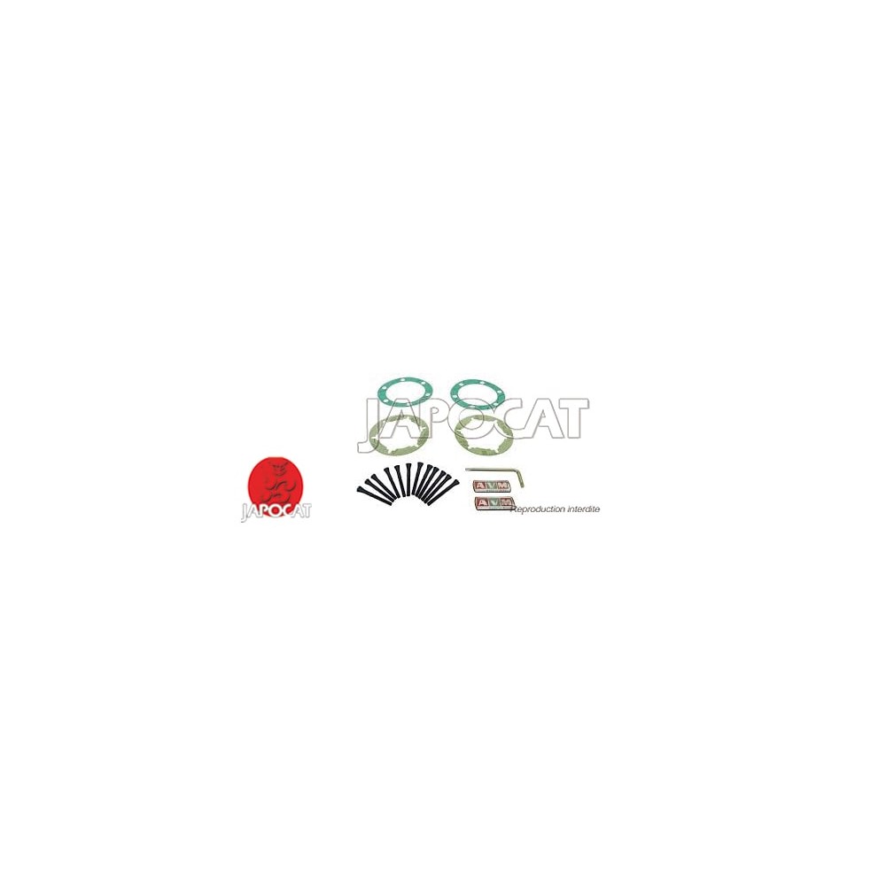  KIT 12 BOULONS + JOINTS pour 2 Moyeux AVM
