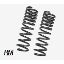 Paire de ressorts arrières Toyota LJ70 +10cm