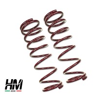 Paire de ressorts avant + 6cm Nissan Patrol Gr Y60 / Y61