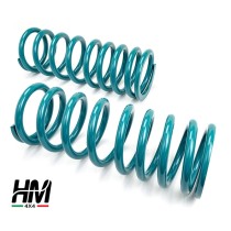Paire de ressorts arrières pour Land Rover Defender +6cm