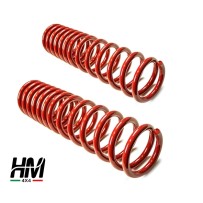 RESSORTS AVANT SUZUKI JIMNY À PAS VARIABLE + 8CM