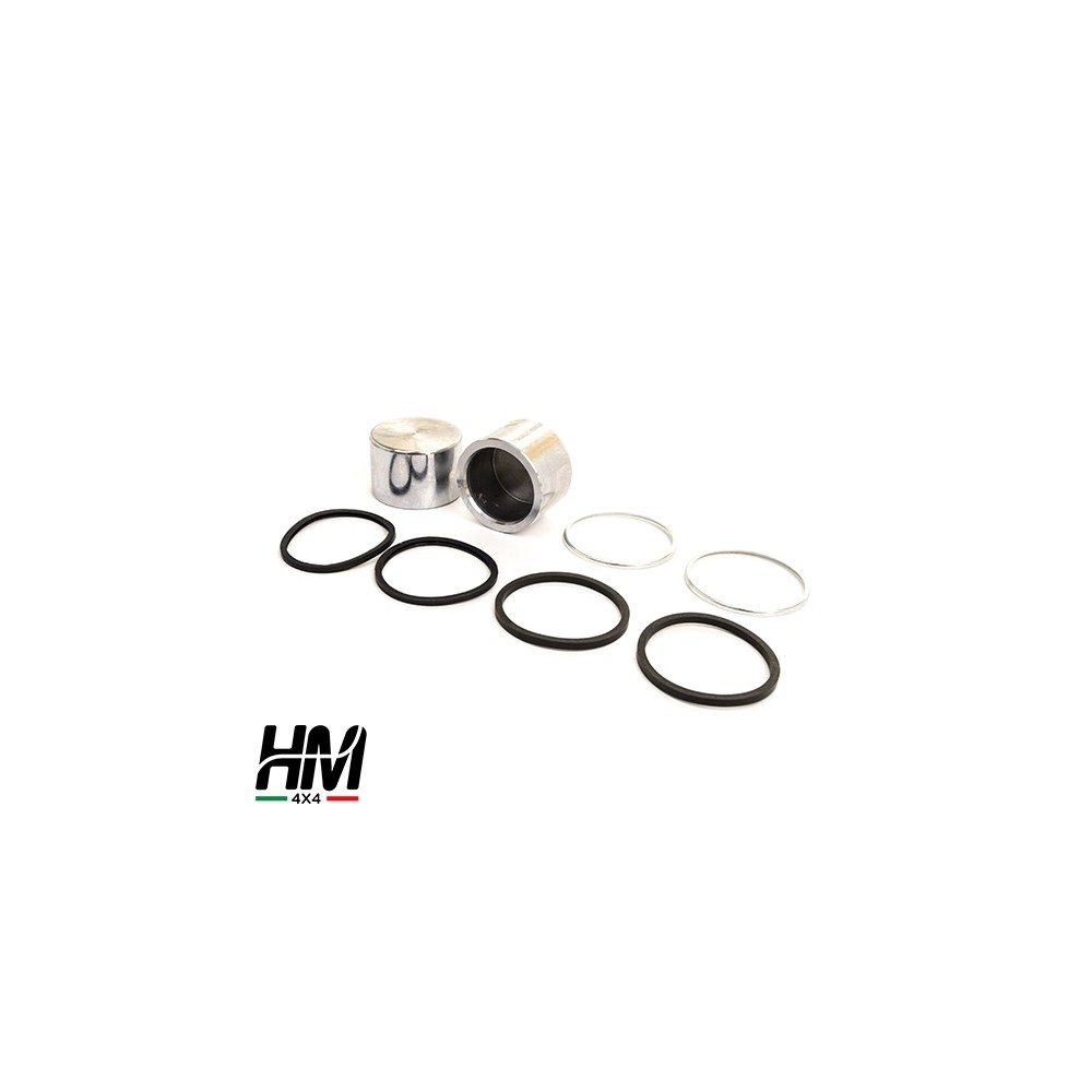 Kit de piston d'étrier de frein arrière Défenseur 110 Salisbury essieu Kit de piston d'étrier de frein arrière Défenseur 110 Salisbury essieu
