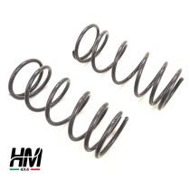 Paire de ressorts arrière + 5 cm Mitsubishi Pajero V20