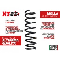 RESSORT + 4CM POUR SUZUKI GRAND VITARA ARRIERE DISPO DECEMBRE 2024