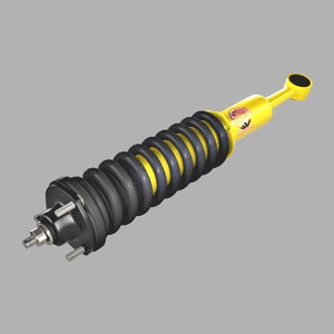 SUSPENSION