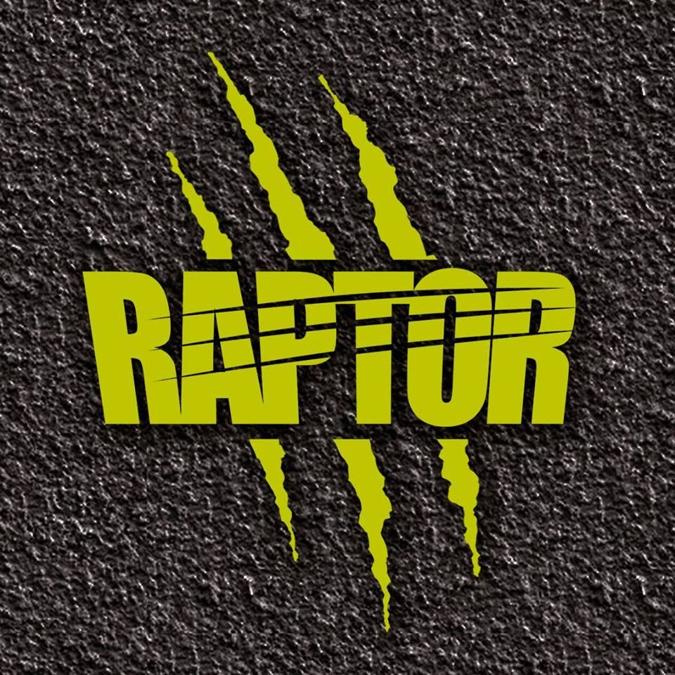 PEINTURE RAPTOR