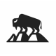 BISON GEAR