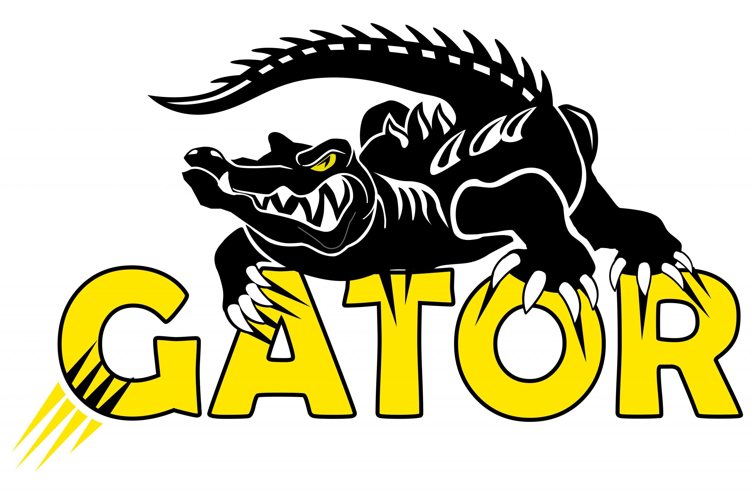 PEINTURE GATOR