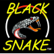 Black Snake